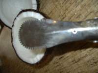 coconut blade